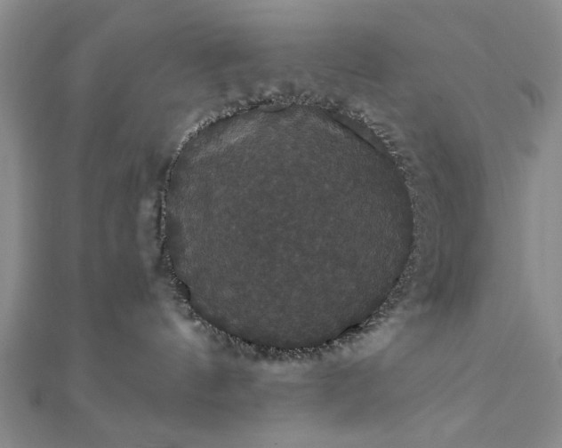 X0000111910144200908031145