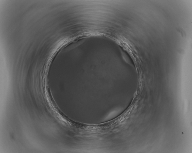 X0000111910145200908031145