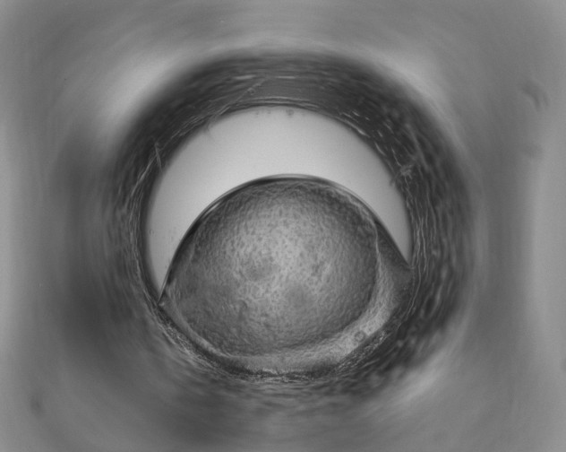 X0000111910146200908031145