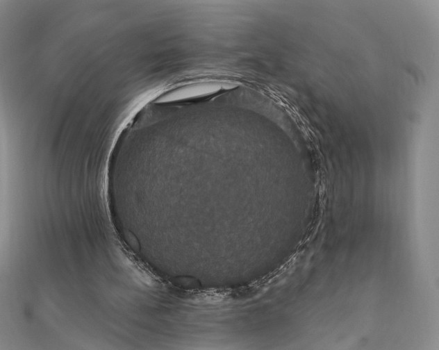 X0000111910148200908031145