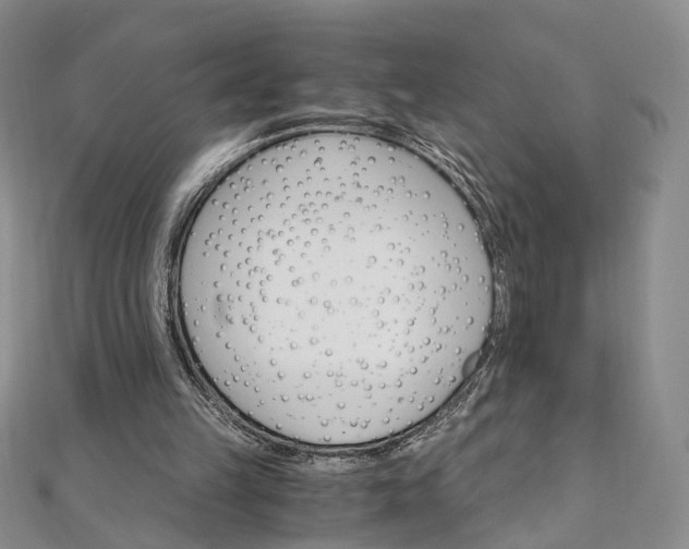 X0000111910149200908031145