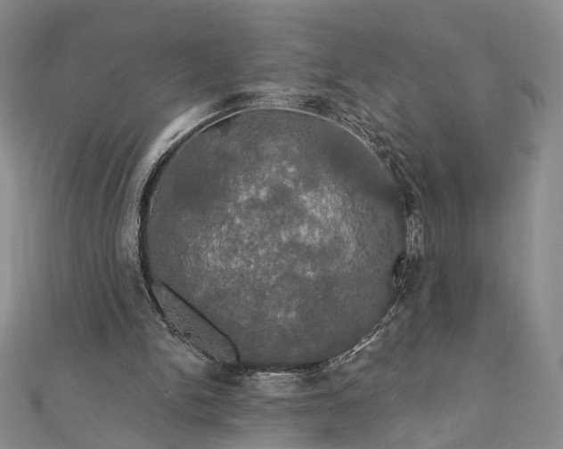 X0000111910150200908031145