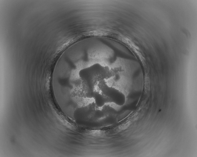 X0000111910153200908031145