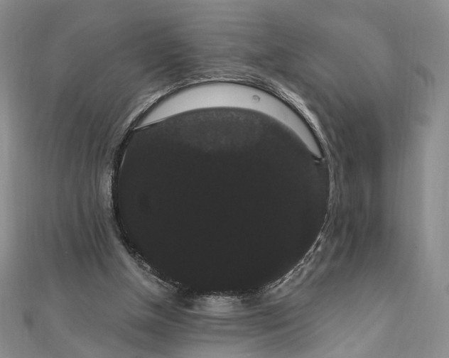 X0000111910154200908031145