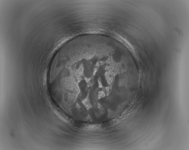 X0000111910155200908031145