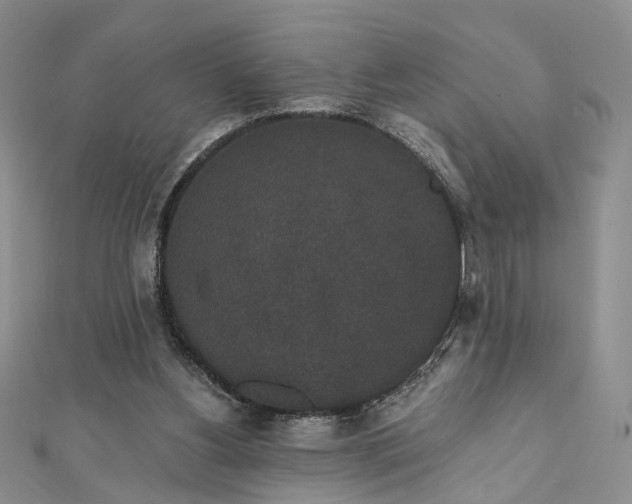 X0000111910156200908031145