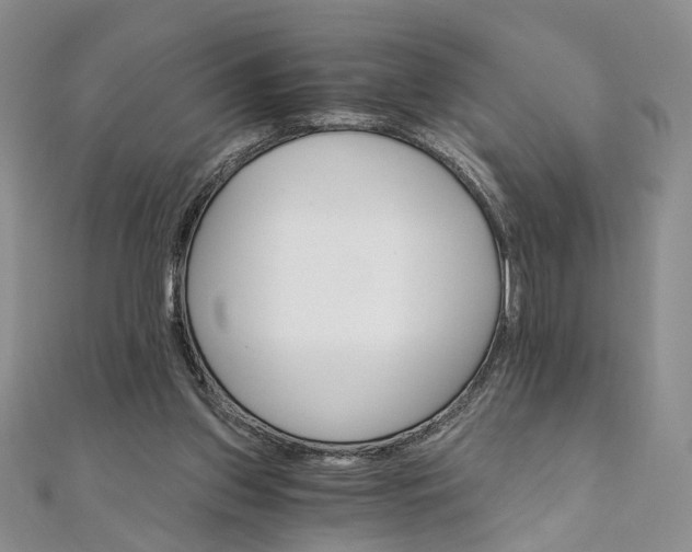 X0000111910157200908031145