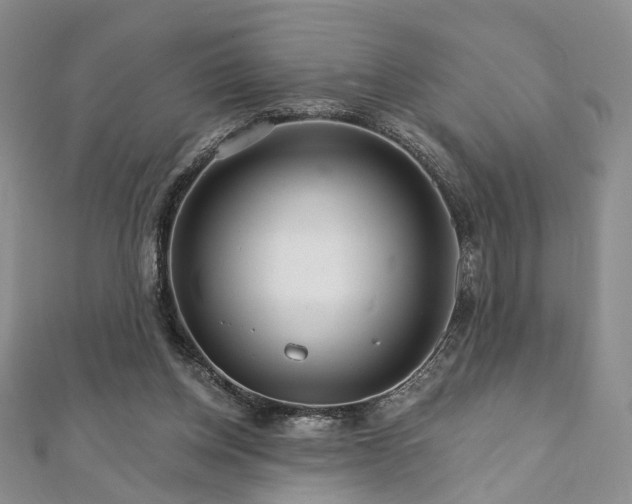 X0000111910158200908031145