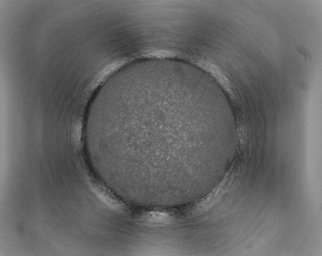 X0000111910159200908031145