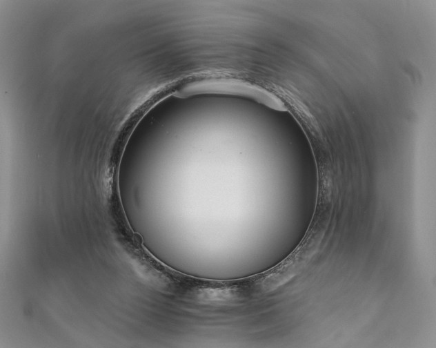 X0000111910160200908031145