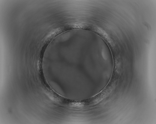 X0000111910161200908031145