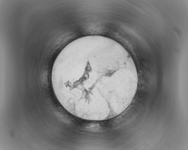 X0000111910162200908031145