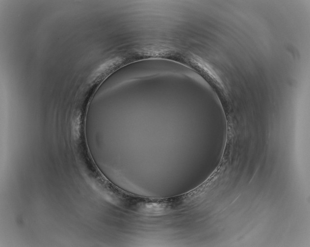 X0000111910163200908031145