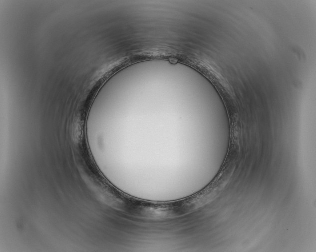 X0000111910164200908031145