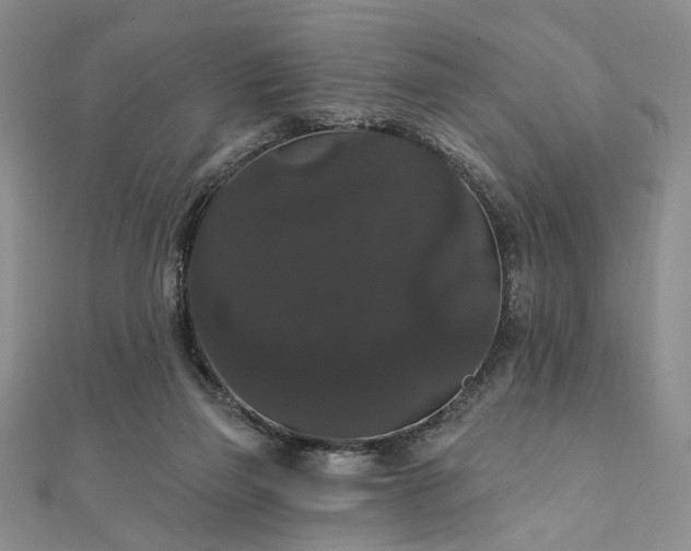 X0000111910165200908031145