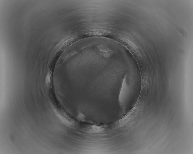 X0000111910166200908031145