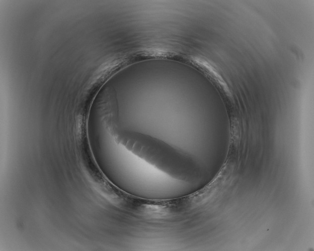 X0000111910167200908031145