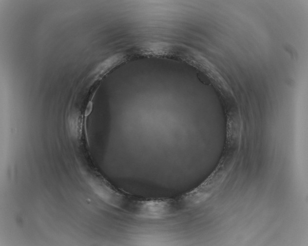 X0000111910168200908031145