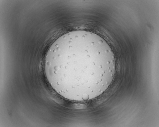 X0000111910169200908031145