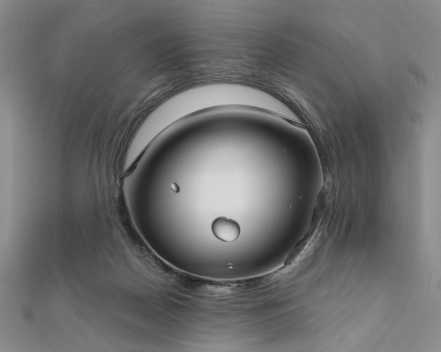 X0000111910170200908031145