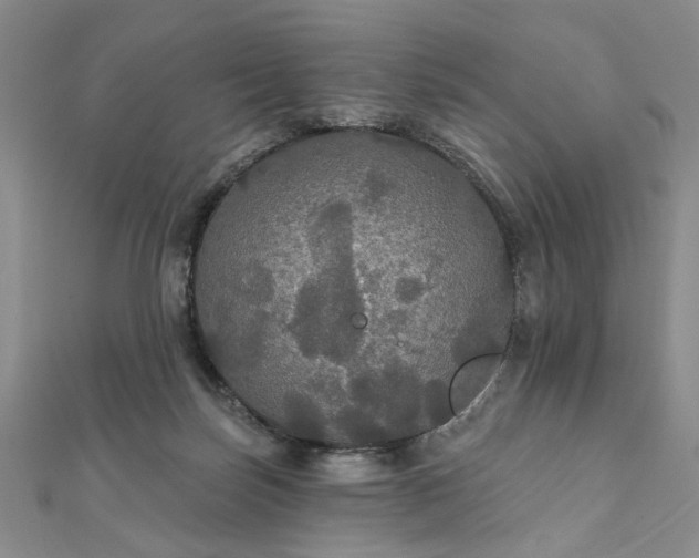 X0000111910171200908031145