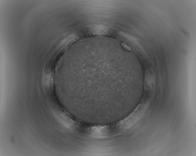 X0000111910172200908031145