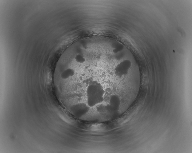 X0000111910173200908031145