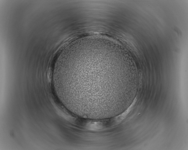 X0000111910174200908031145