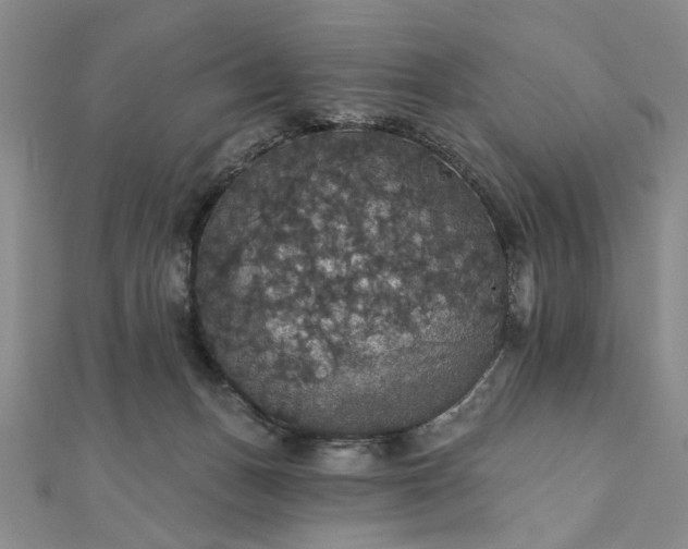 X0000111910175200908031145