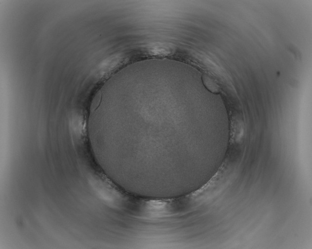 X0000111910176200908031145