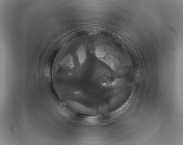 X0000111910178200908031145