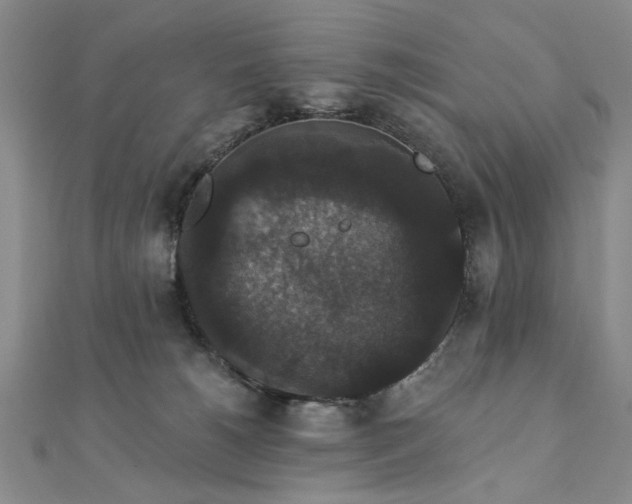 X0000111910180200908031145