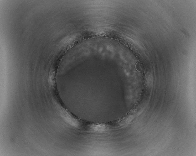 X0000111910181200908031145