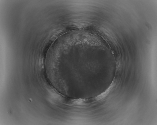 X0000111910182200908031145