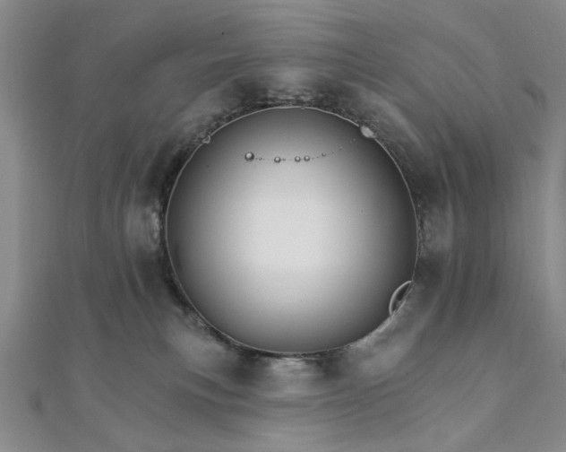 X0000111910183200908031145