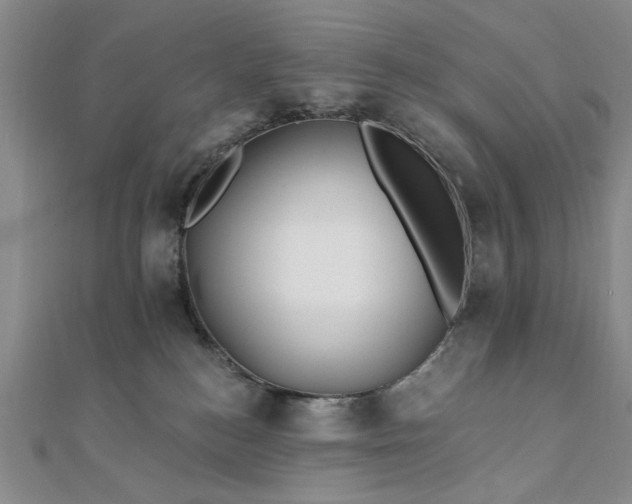 X0000111910184200908031145