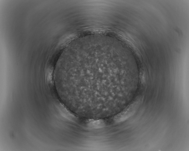 X0000111910185200908031145