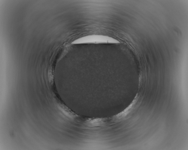 X0000111910186200908031145