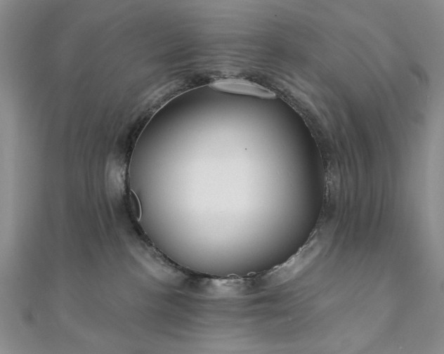 X0000111910188200908031145