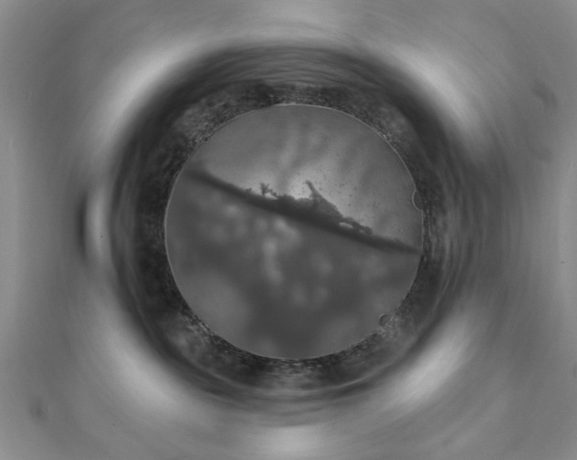 X0000111910189200908031145