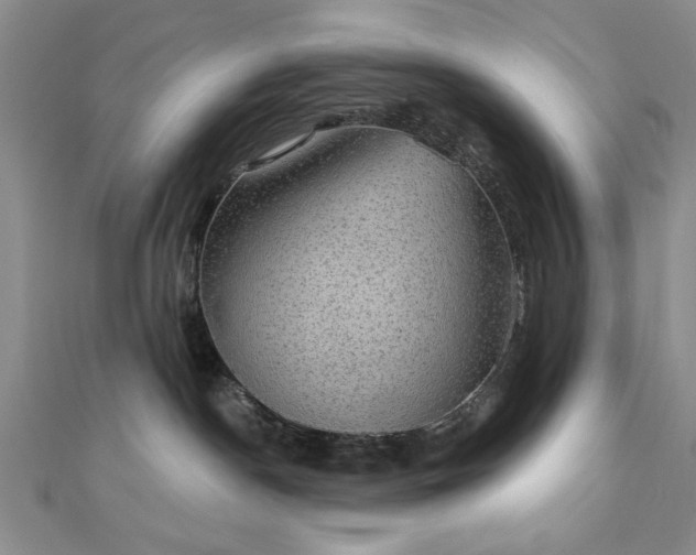 X0000111910190200908031145