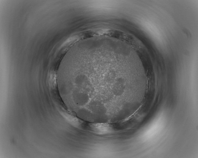 X0000111910191200908031145