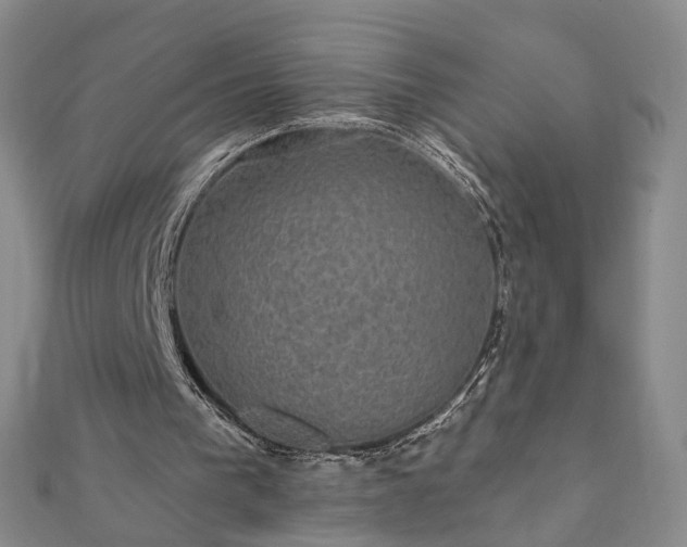 X0000111910193200908031145