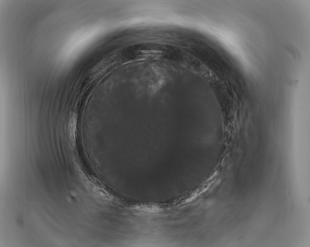 X0000111910194200908031145