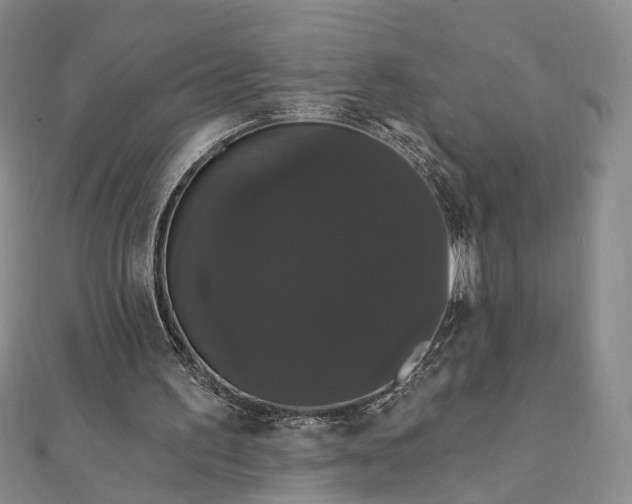 X0000111910195200908031145