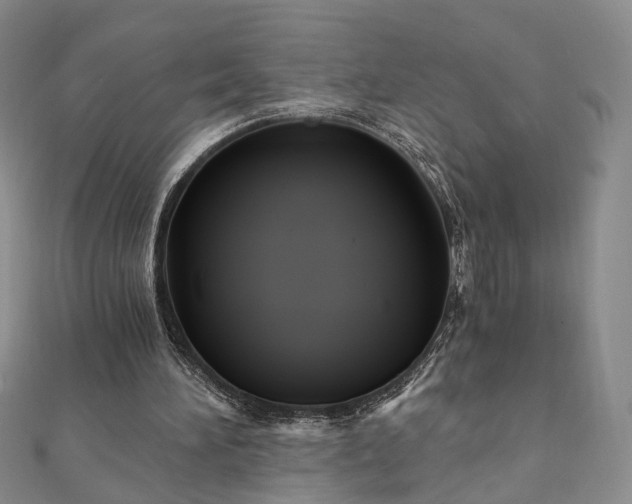 X0000111910196200908031145