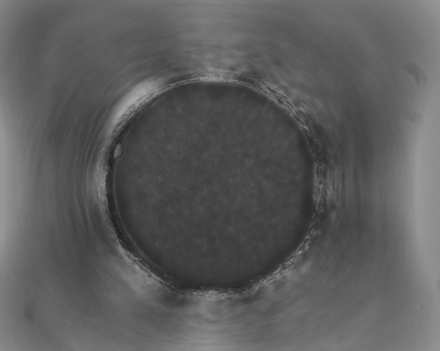 X0000111910197200908031145