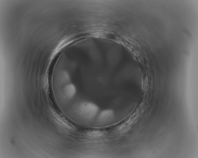 X0000111910198200908031145