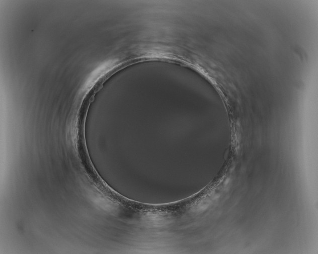 X0000111910199200908031145