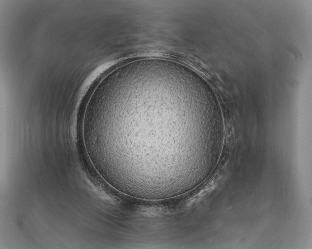 X0000111910200200908031145